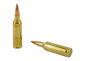 REM PRMR ACCU 17FIREBALL 20GR 20/200 9 REM29165 4