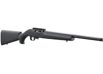 RUGER 10/22 20" TB HOGUE 10RD BLK