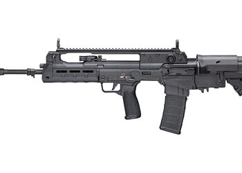 SPRGFLD HELLION 556 20" 30RD BLK