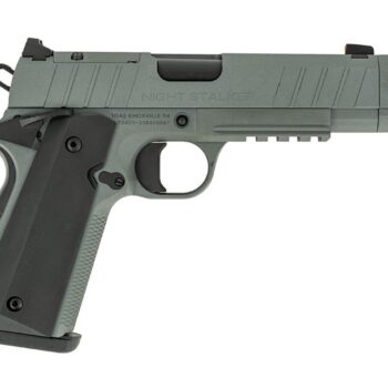 TISAS NIGHT STALKER COMP 10MM GRY