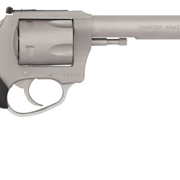Charter Arms 79960 Pitbull  Large 9mm Luger, 5 Shot 6" Matte Stainless Steel Barrel, Cylinder & Frame w/Black Finger Grooved Rubber Grip