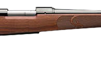 Winchester Guns 535200294 Model 70 Featherweight 6.5 PRC 3+1 24" Brushed Polish Blued Satin Walnut Stock Right Hand (Full Size) No Sights