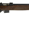 Rossi RB22W2111WD RB22 Full Size 22 WMR 5+1 21" Blued Steel Barrel, Blued Weaver Scope Mount Steel Receiver, Hardwood Monte Carlo Stock 2 157582