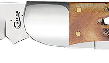 Case 03574 Hunter  4.10" Folding Plain Mirror Polished Tru-Sharp SS Blade, 6.5 BoneStag Handle