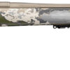 176506