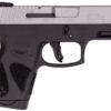 Taurus 1-G2S939 G2S Compact Frame 9mm Luger 7+1 3.26" Matte Stainless Steel Barrel, Matte Stainless Steel Serrated Slide, Black Polymer Frame w/Accessory Rail, Black Polymer Grip 2 182561