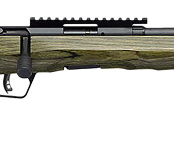 Savage Arms 70851 B Series  Full Size 17 HMR 10+1 18" Matte Black Spiral Fluted Threaded Barrel, Matte Black Carbon Steel Receiver w/Picatinny Rail, OD Green Fixed Laminate Stock, Right Hand