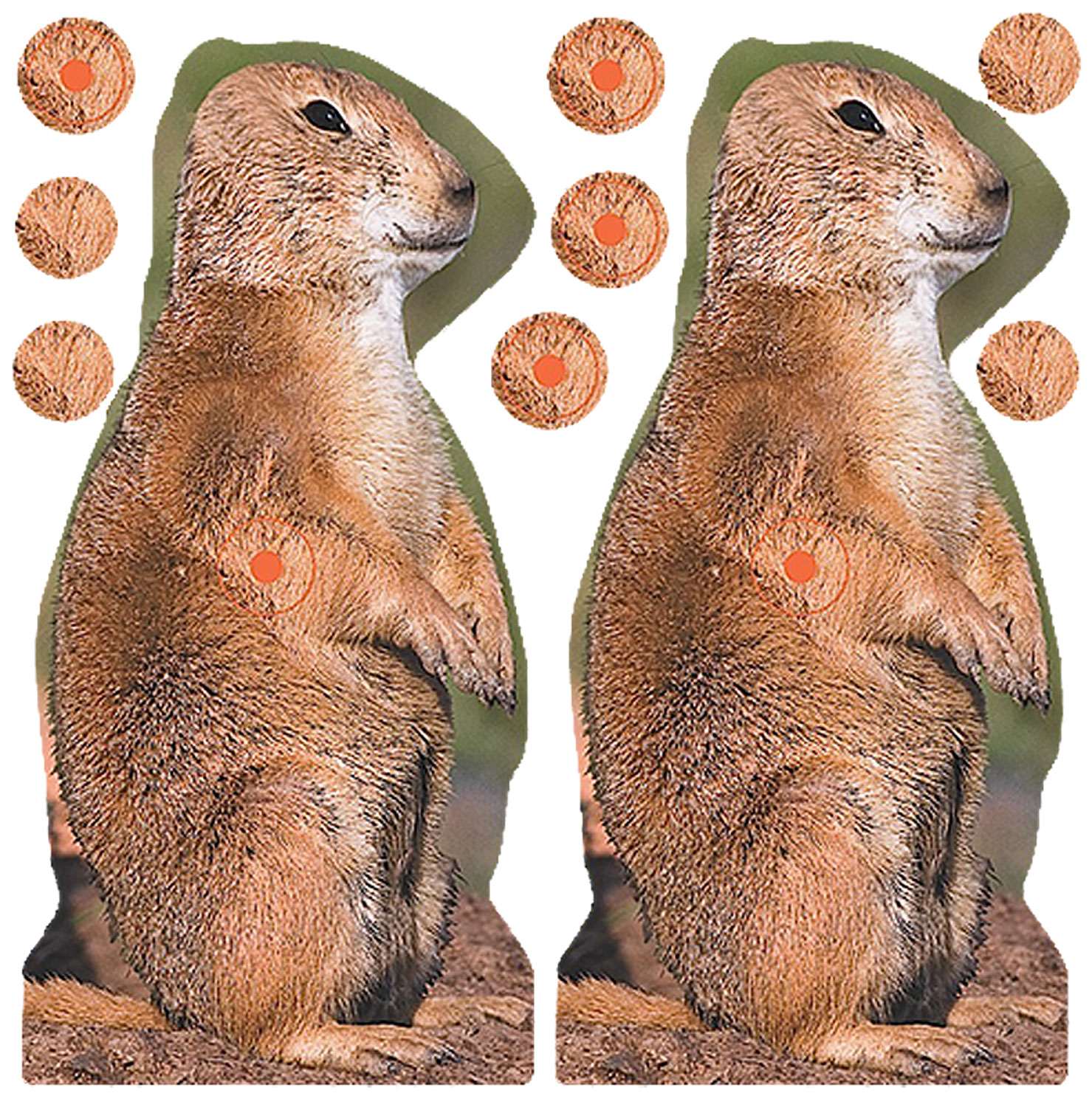 Birchwood Casey 34786 Shoot-N-C Reactive Target Self-Adhesive Paper Brown 8" Prairie Chuck 12 Pack 3 Birchwood Casey 34786 Shoot-N-C Reactive Target Self-Adhesive Paper Brown 8" Prairie Chuck 12 Pack