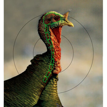 Birchwood Casey 35403 Pregame  Turkey Paper Hanging Universal 12" x 18" Multi-Color 8 Per Pkg