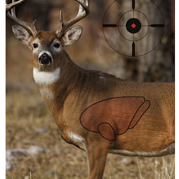 Birchwood Casey 35401 Pregame  Deer Paper Hanging Universal 16.50" x 24" 3 Per Pkg