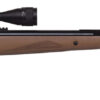 Benjamin BT725WNP Trail XL Nitrogen Piston 25 Pellet Black Hardwood Fixed Thumbhole Stock 3-9x40mm AO 2 98191