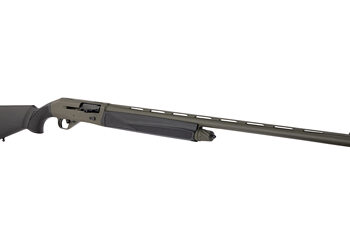 CZ06138 3