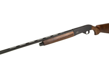 CZ06172 3