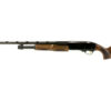 CZ06576 1