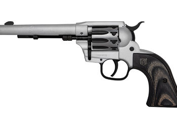 DBF SIDEKICK 22LR/WMR 5.5" 9RD TALO