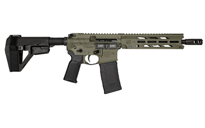 DBF DB15OBS 300BLK 10" 30RD ODG BRC 3 DBF DB15OBS 300BLK 10" 30RD ODG BRC