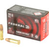 FED AM EAGLE 22LR HV HP 40/4000 2 FEAE22BX 1