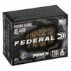 FEPD45P1 1