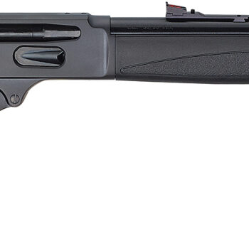 HENRY 30-30 LEVER ACTION X MODEL