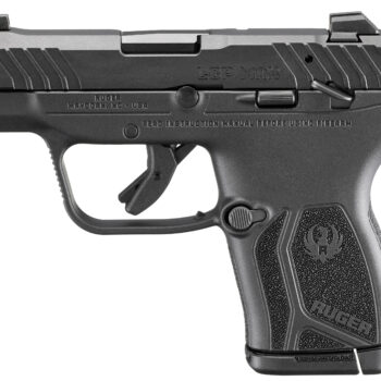 RUG LCP MAX 380ACP 2.8 BLK MS 10RD