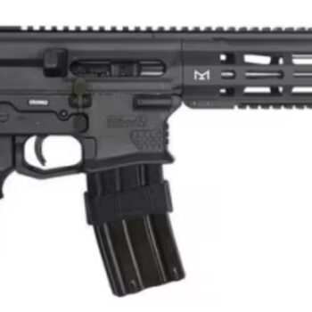 SILVER SHADOW GILBOA DBR SNAKE 5.56 2 X 16