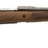 SV11LADYHUNT 2