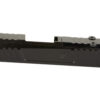 TRUTP P365DS BL RMS 1