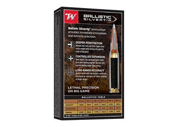 Alternative view of WIN BLSTC TIP 2506RM 115GR 20/200