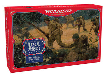 WIN USA 250TH 45ACP 230GR FMJ 50/300