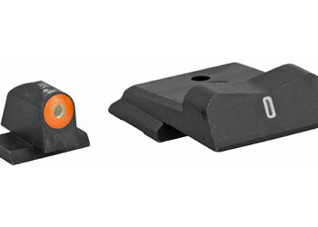 XS DXT2 BIG DOT S&W M&P SHIELD ORG