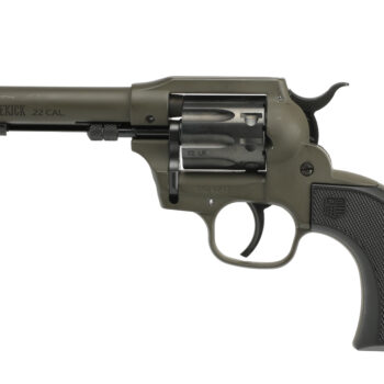 DIAMONDBACK FIREARMS SIDEKICK 22LR/22M ODG 4.5"