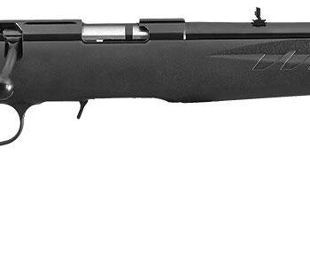 RUGER AMERICAN 22LR RIMFIRE 18" BRL Satin BLUE THREADED COMPACT