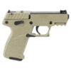 ktp17tane595 1