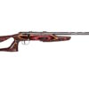 SAVAGE ARMS MARK II 22LR BOLT SS/EVO LAM # 2 markiibolt0b50