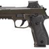 p226xcalegrxsl0ead 3