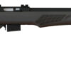 Rossi RB17H2111 RB17 Full Size 17 HMR 5+1, 21" Matte Black Button Rifled Free Floating Steel Barrel, Matte Black Stainless Steel Receiver, Black Fixed Monte Carlo Stock, Right Hand 1 100168