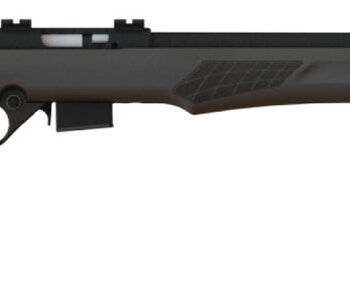 Rossi RB17H2111 RB17  Full Size 17 HMR 5+1, 21" Matte Black Button Rifled Free Floating Steel Barrel, Matte Black Stainless Steel Receiver, Black Fixed Monte Carlo Stock, Right Hand