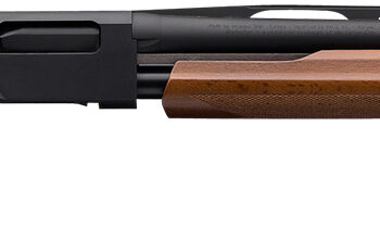 Winchester Repeating Arms 512367303 SXP Field Youth 12 Gauge 22" 4+1 3" Matte Black Rec/Barrel Satin Walnut Stock Right Hand Includes 3 Invector-Plus Chokes