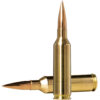 Norma Ammunition 10166462 Dedicated Precision Golden Target Match 6.5PRC 143gr Hollow Point Boat Tail 20 Per Box/10 Case 2 156108