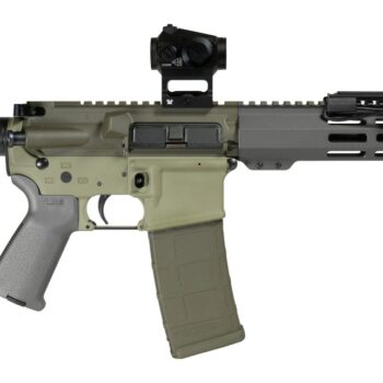 Shark Coast Tactical SCC06872BUGBR300P Bug Bear Bundle 300 Blackout 30+1 10" Threaded Barrel, Aluminum Receiver w/Picatinny Rail, M-LOK Handguard, Polymer SB Tactical SBA3 Brace, Streamlight ProTac Ra