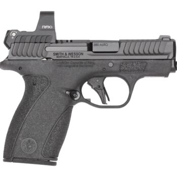 S&W BODYGRD 2.0    14786 380 2.75    RFX1   10/12R