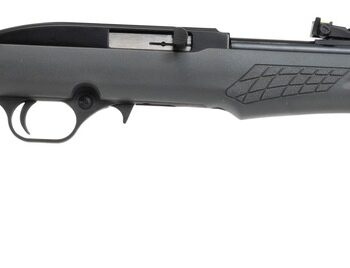 Rossi RS22L1811G RS22  22 LR 10+1 18" Black Matte Barrel, Black Aluminum 3/8" Dovetail Receiver, Fixed Gray Synthetic Stock