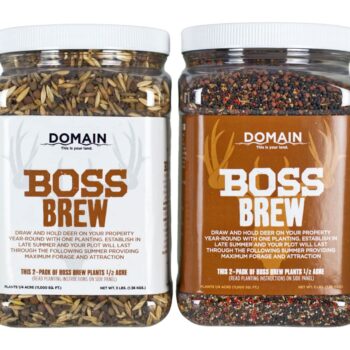 DOMAIN BBFP6       BOSS BREW