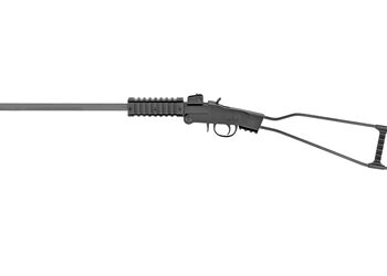 CHIAPPA LITTLE BADGER 17HMR 16.5"