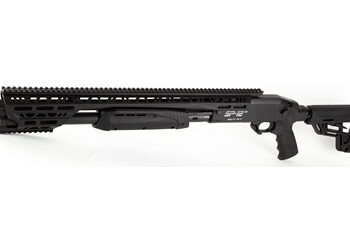 CSMSP12 3