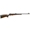 CZ2002317