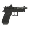 CZ91661