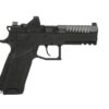 CZ91670