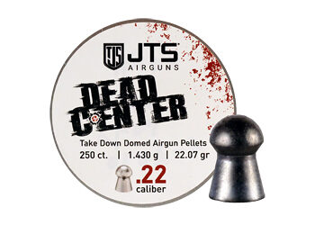 JTS .22 CAL 22GR DOMED 250CT