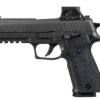 P226xRom